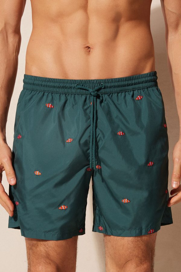 Plavky Intimissimi Embroidered Clownfish Panske Zelene | SK-5209IXALO