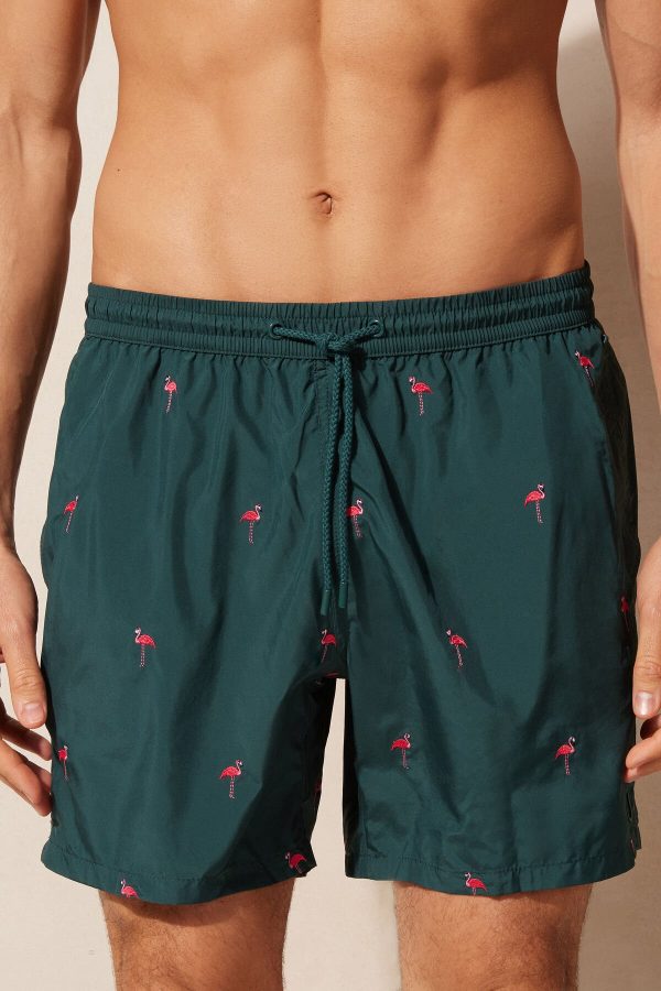 Plavky Intimissimi Embroidered Flamingo Panske Zelene | SK-9845QGSKY