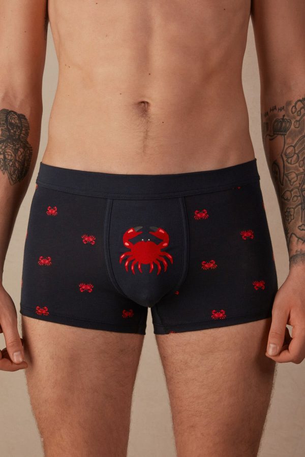 Sortky Intimissimi Crab Boxer in Natural Fresh Supima® Bavlnene Panske Modre | SK-4573TGZAH